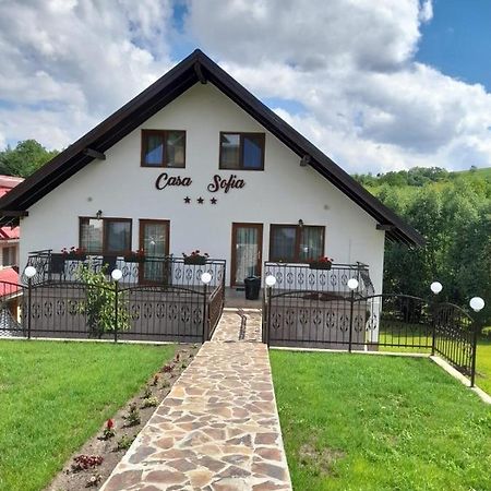 Baltatesti Casa Sofia 아파트 외부 사진