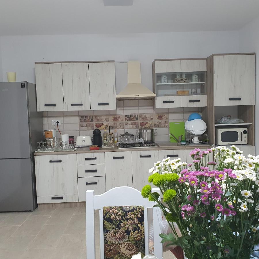 Baltatesti Casa Sofia 아파트 외부 사진