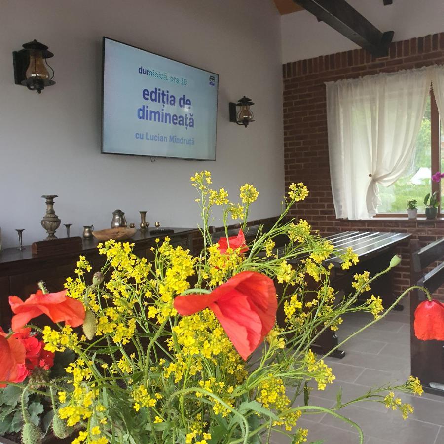 Baltatesti Casa Sofia 아파트 외부 사진