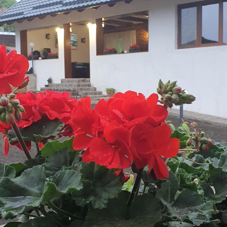 Baltatesti Casa Sofia 아파트 외부 사진