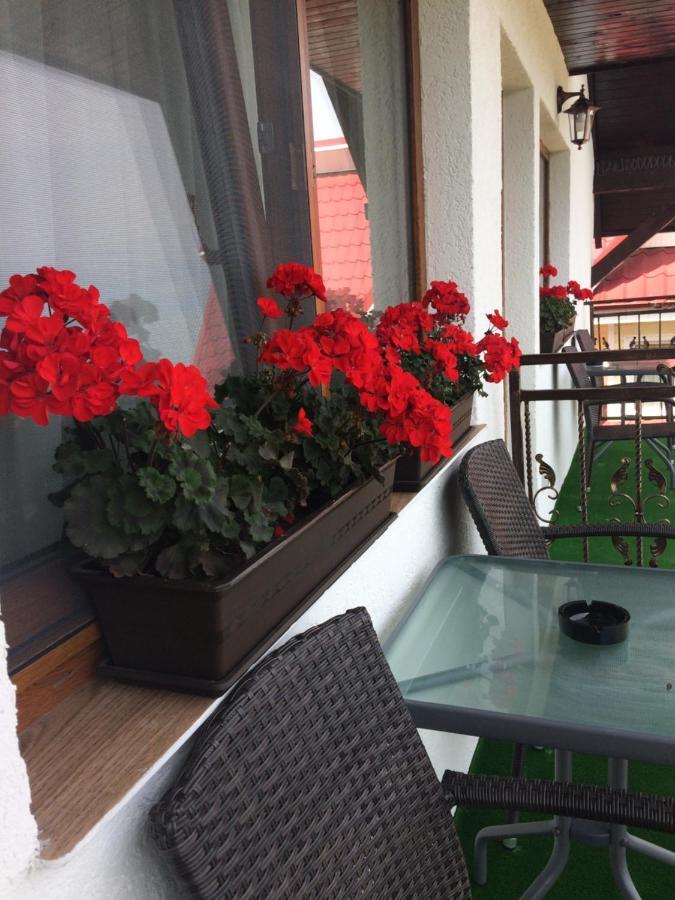 Baltatesti Casa Sofia 아파트 외부 사진